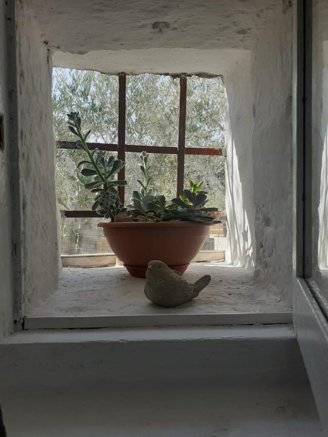 Villa La Mia Dimora Cocolicchio Esterno foto